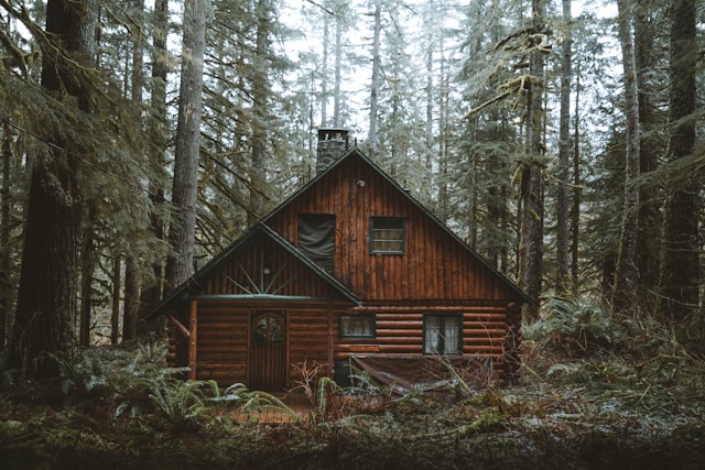Embrace the Serenity: Discovering the Joys of Log Cabin Getaways