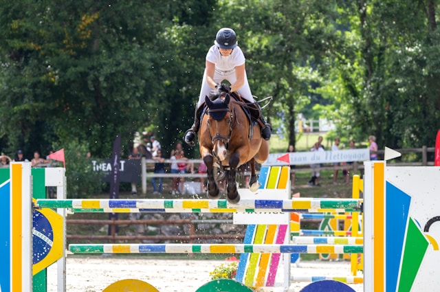 Building Confidence, Not Chaos: Tips for Designing Safe and Effective Horse Jump Courses