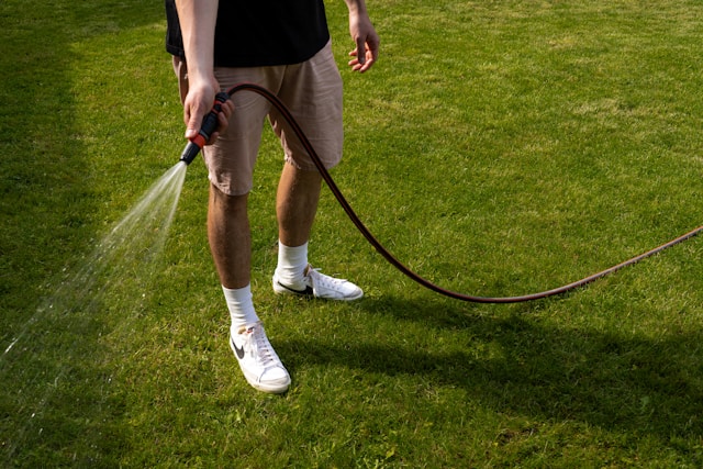 Creative Lawn Care Tips: Innovative Strategies to Maintain a Beautiful Yard